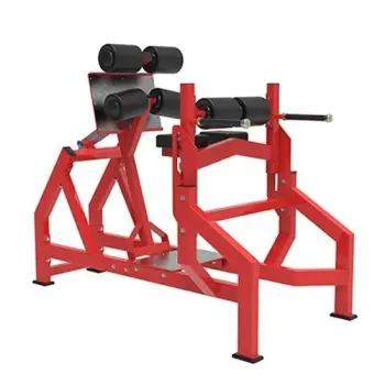 Adjustable Abdominal And Back Extension - RFA | Gymnasium