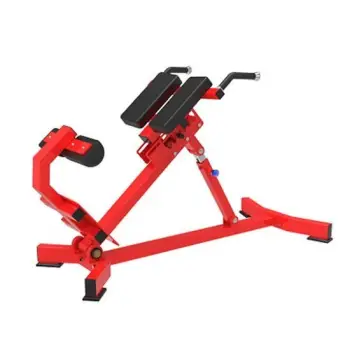Adjustable Roman Bench - RFA | Functional Training - Gym