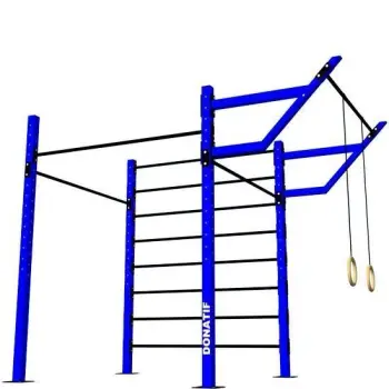 Calisthenics Cage Station with Wall Brace and Rings - D80...