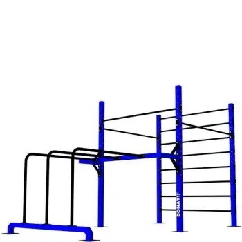 Calisthenics frame with Wall bars and Parallel bars -...