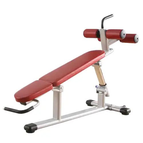 Professional Abs Bench - P10 | Adjustable - Gym - Full view