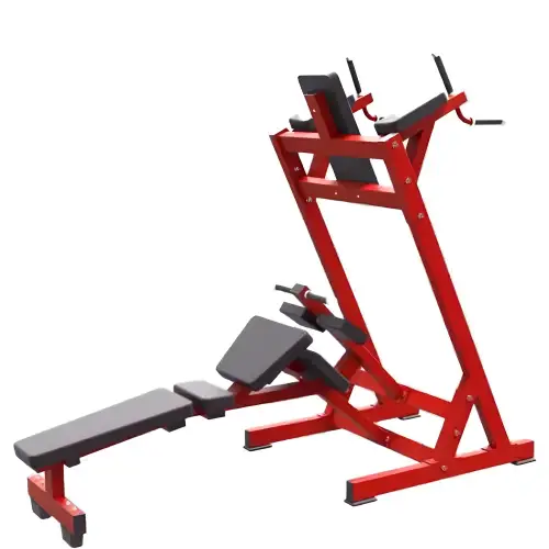 Abdominal Work Station - RFA | Functional Training - Gymnasium - Full View Tool