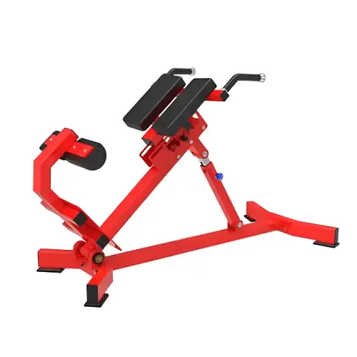 Adjustable Roman Bench - RFA | Functional Training - Gymnastics - Full Functional Bench