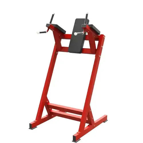 Vertical Knee Raise Machine - RFA | Allenamento Funzionale - Visuale Completa Attrezzo