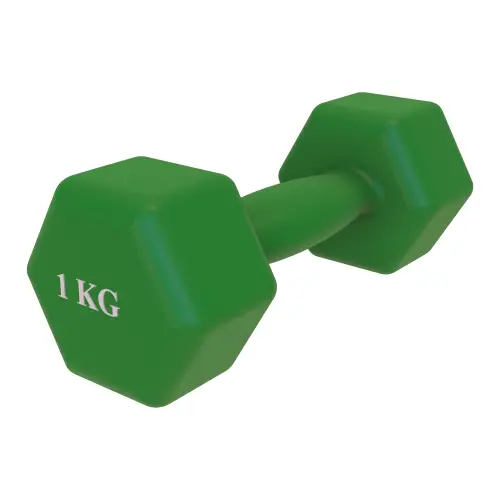 1 kg Vinyl Dumbbell - Non-slip | Fitness