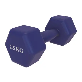 Rutschfeste Vinyl-Hantel - 2.5 Kg | Fitness Gewicht - Gym