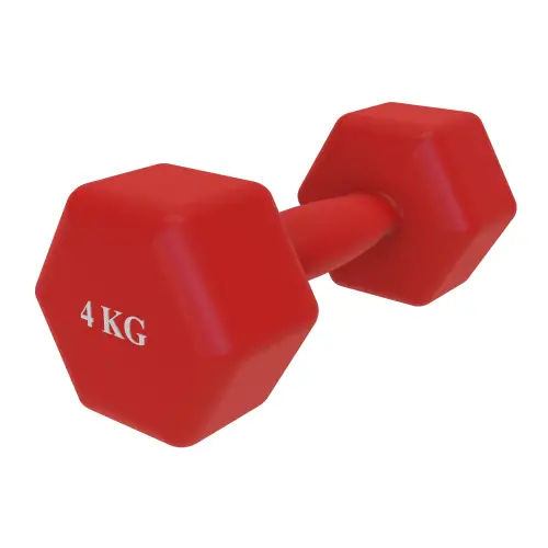 4 Kg Vinyl Dumbbell - Antidérapant | Fitness