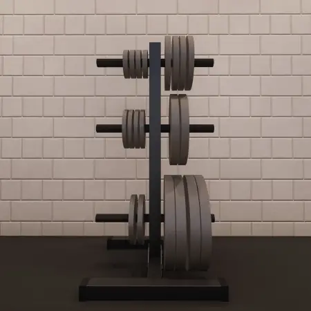 Bumper Rack Disc Rack Gym