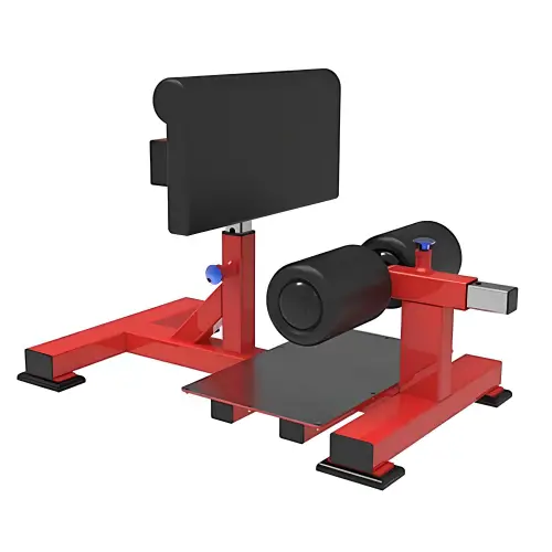 Sissy Squat Machine - RFA | Allenamento Funzionale