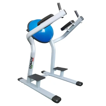 Leg Raise Station con Half Ball | Professionale